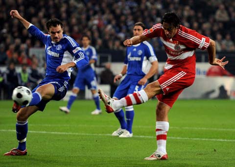 可能会激活 可能会激活